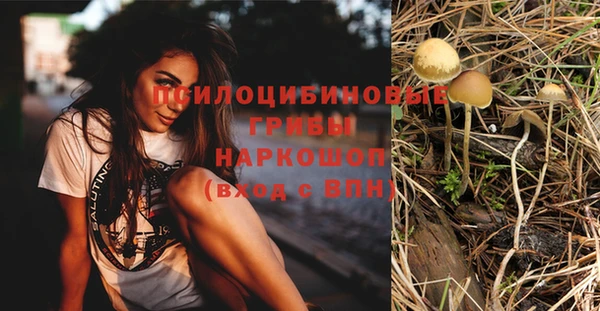 каннабис Верея
