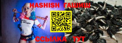 спайс Берёзовский