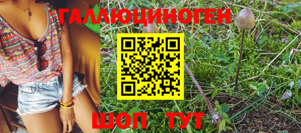 Галлюциногенные грибы Psilocybine cubensis  как найти закладки  Усть-Лабинск  Вход с VPN 