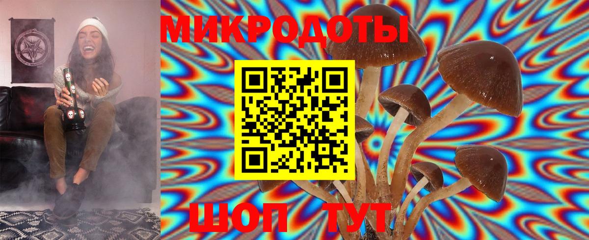 Псилоцибиновые грибы мухоморы Усть-Лабинск